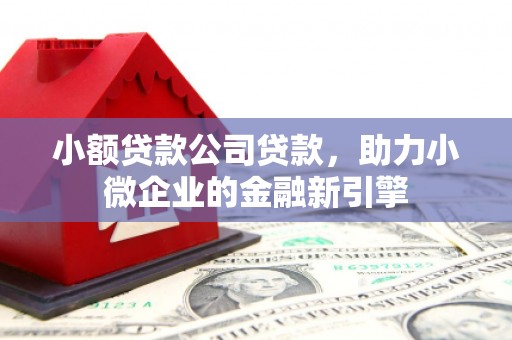 扶绥小额贷款公司贷款，助力小微企业的金融新引擎