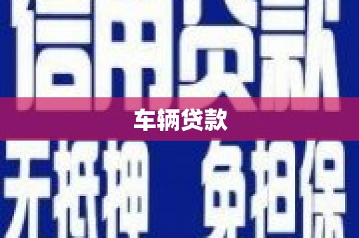 扶绥车辆贷款