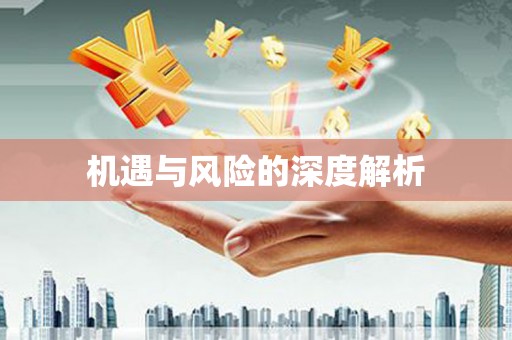 扶绥机遇与风险的深度解析