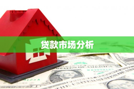 扶绥贷款市场分析