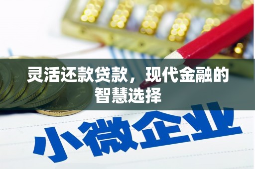 扶绥灵活还款贷款，现代金融的智慧选择