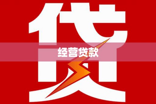 扶绥经营贷款