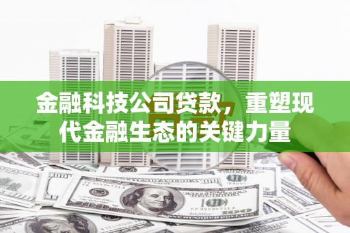扶绥金融科技公司贷款，重塑现代金融生态的关键力量
