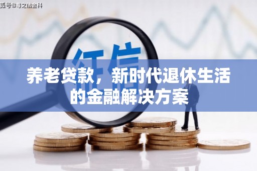 扶绥养老贷款，新时代退休生活的金融解决方案