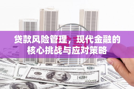 扶绥贷款风险管理，现代金融的核心挑战与应对策略