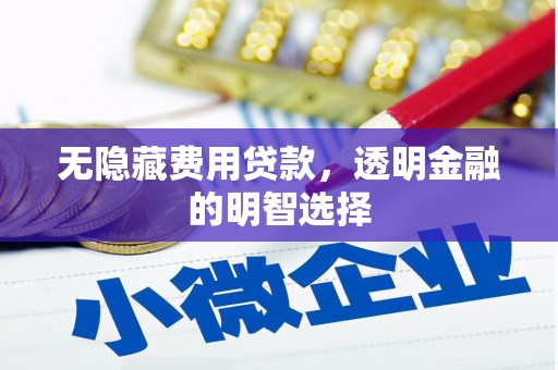 扶绥无隐藏费用贷款，透明金融的明智选择