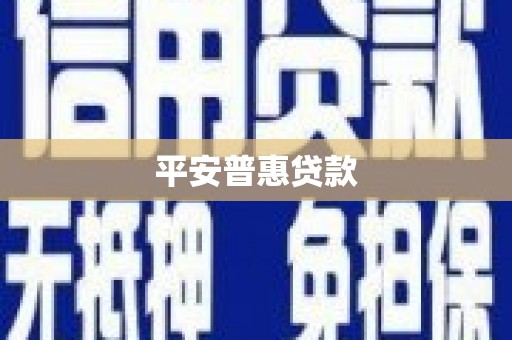 扶绥平安普惠贷款