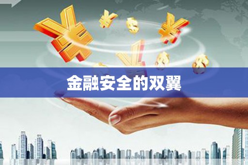 扶绥金融安全的双翼