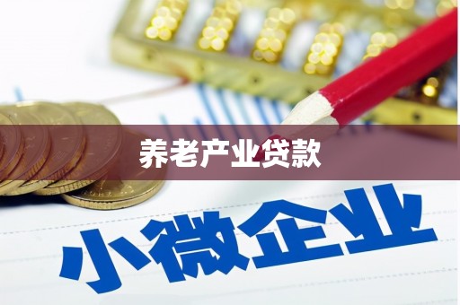 扶绥养老产业贷款