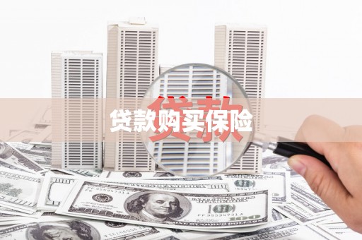 扶绥贷款购买保险
