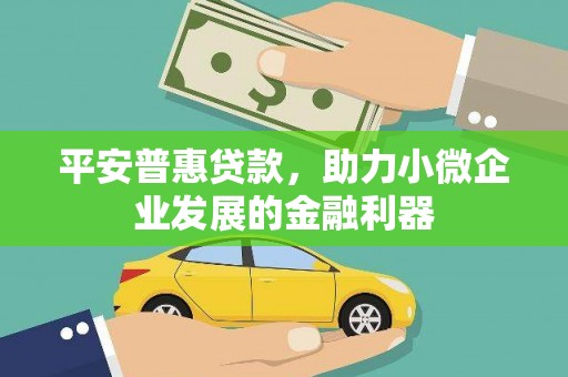 扶绥平安普惠贷款，助力小微企业发展的金融利器