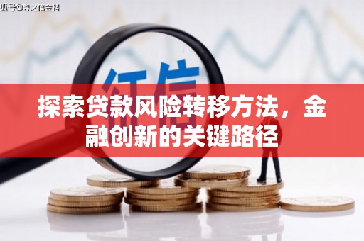 扶绥探索贷款风险转移方法，金融创新的关键路径