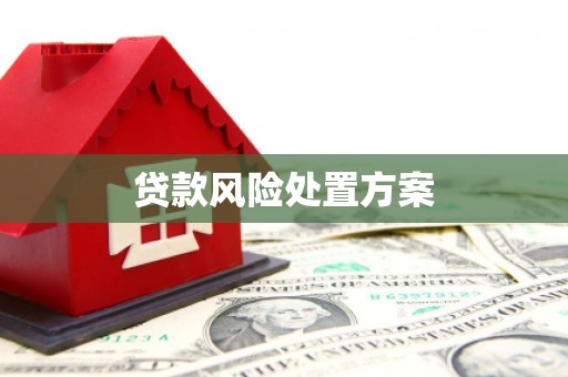 扶绥贷款风险处置方案
