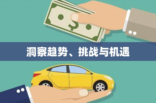 扶绥洞察趋势、挑战与机遇