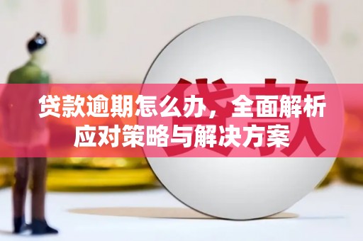 扶绥贷款逾期怎么办，全面解析应对策略与解决方案