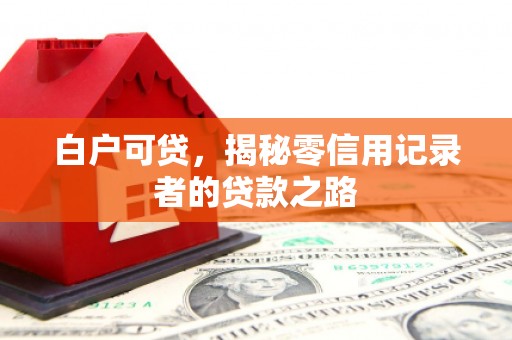 扶绥白户可贷，揭秘零信用记录者的贷款之路