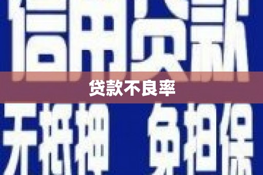 扶绥贷款不良率