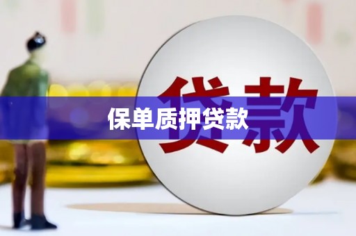 扶绥保单质押贷款