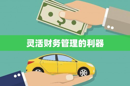 扶绥灵活财务管理的利器