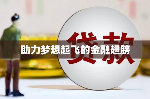 扶绥助力梦想起飞的金融翅膀