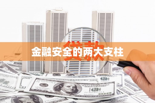扶绥金融安全的两大支柱