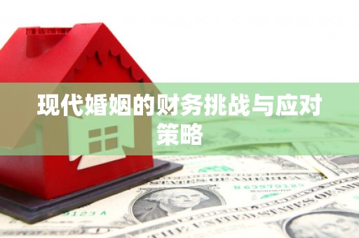 扶绥现代婚姻的财务挑战与应对策略