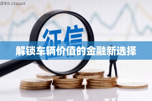 扶绥解锁车辆价值的金融新选择