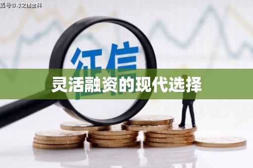 扶绥灵活融资的现代选择