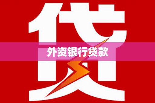 扶绥外资银行贷款