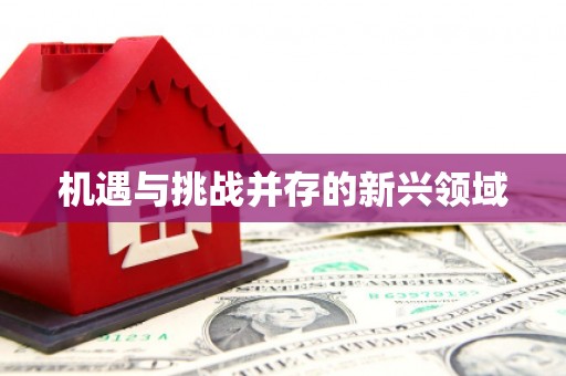 扶绥机遇与挑战并存的新兴领域