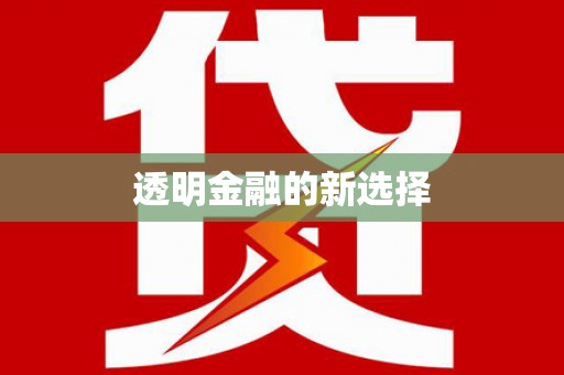 扶绥透明金融的新选择