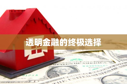 扶绥透明金融的终极选择