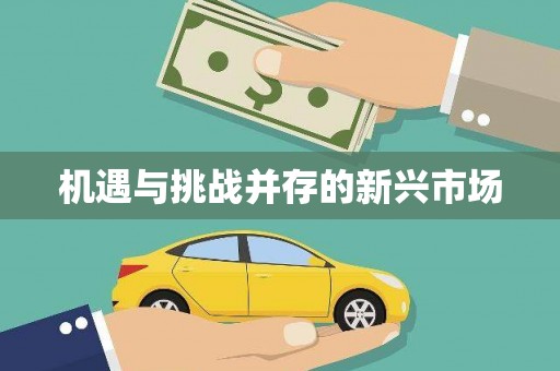 扶绥机遇与挑战并存的新兴市场