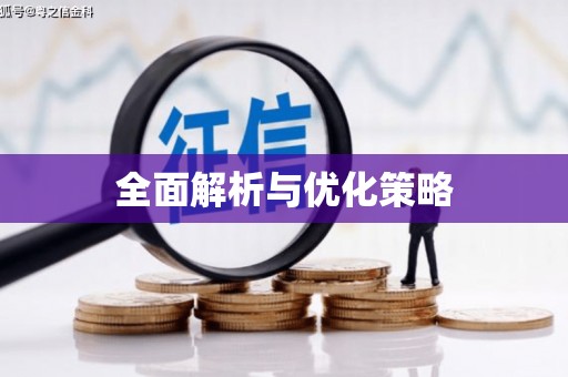 扶绥全面解析与优化策略