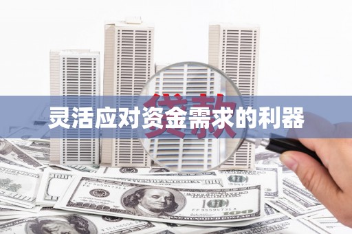 扶绥灵活应对资金需求的利器