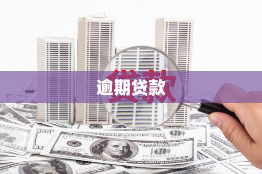 扶绥逾期贷款