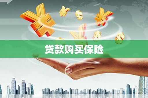 扶绥贷款购买保险