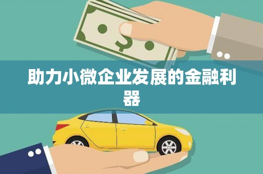 扶绥助力小微企业发展的金融利器