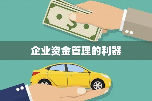 扶绥企业资金管理的利器
