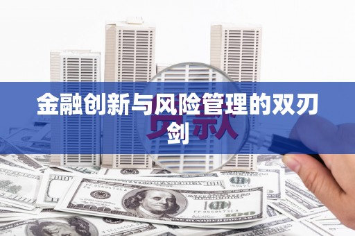 扶绥金融创新与风险管理的双刃剑