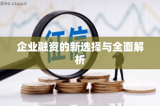 扶绥企业融资的新选择与全面解析