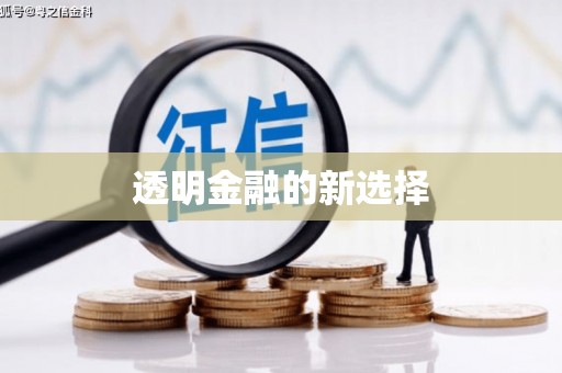 扶绥透明金融的新选择