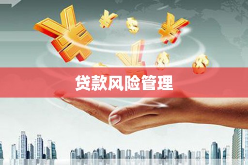 扶绥贷款风险管理