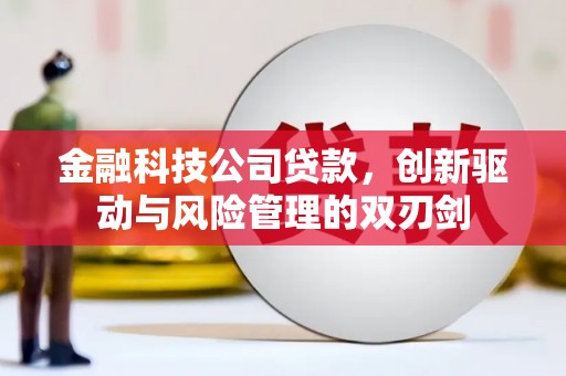 扶绥金融科技公司贷款，创新驱动与风险管理的双刃剑