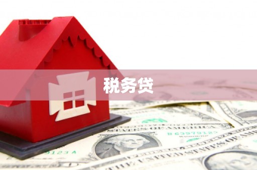 扶绥税务贷