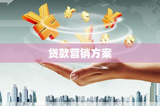扶绥贷款营销方案